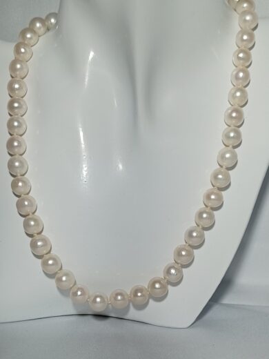 Home 2 18 1720634824210blob scaled 1 Home - Pearl Basics